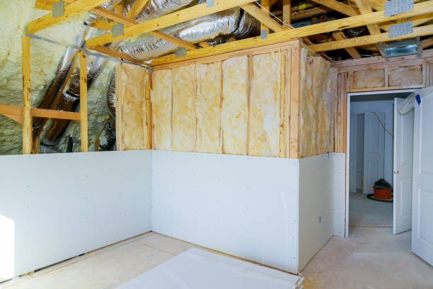 Best Insulation for New Construction  in South Pekin, IL