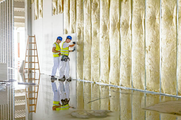 Best Attic Insulation Installation  in South Pekin, IL